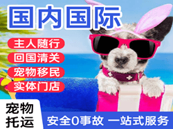 哈尔滨平房航空邮寄国际宠物托运 【国